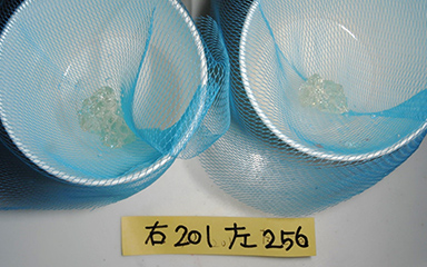 写真:治療後の咀嚼能力検査