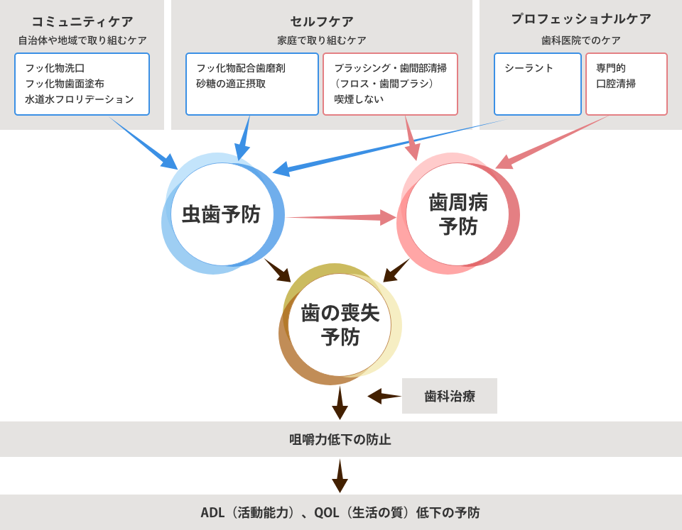 図： 歯科疾患の予防対策と健康に及ぼす影響